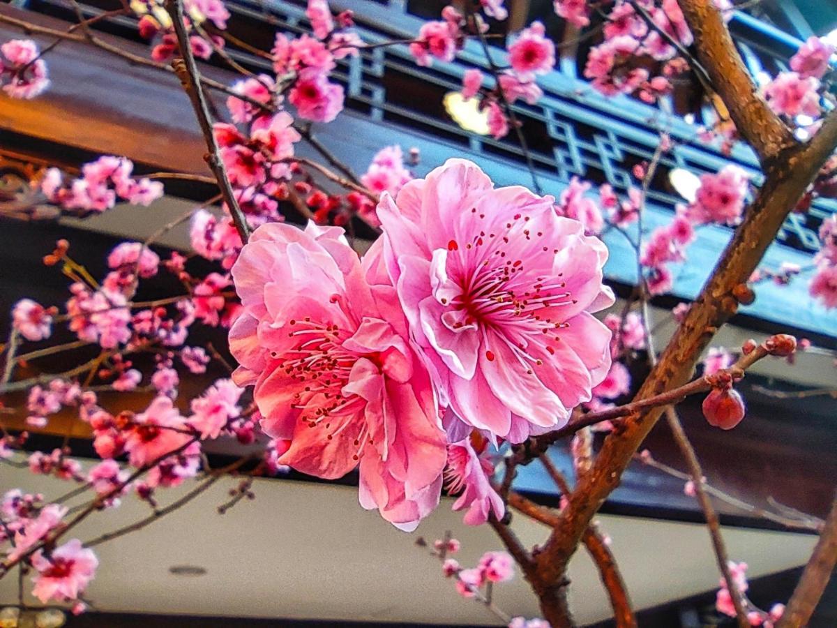 Doof Resort Hotel Lijiang  Esterno foto